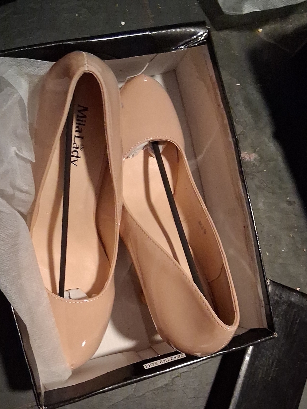 Mila Lady Nude Patent Leather Pointed Toe Stiletto Pumps - Picture 2 of 8